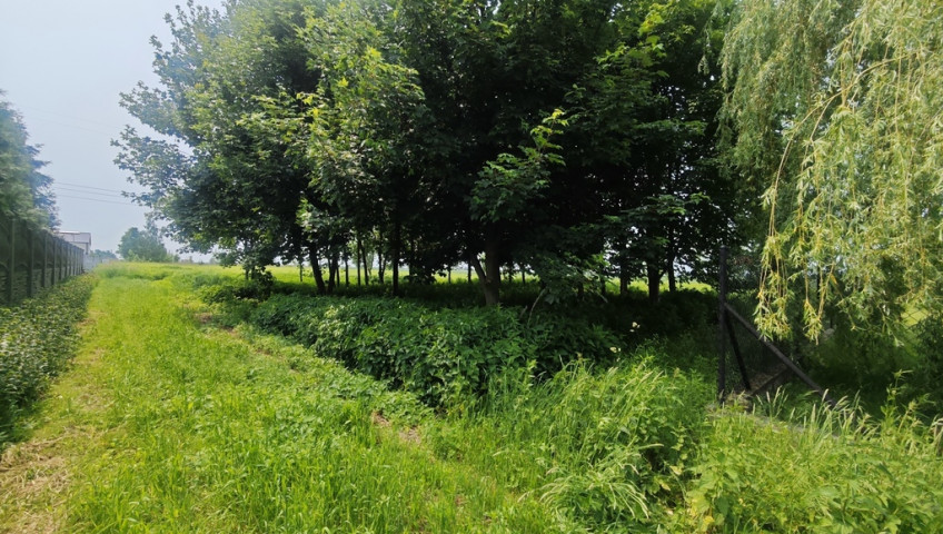Działka Sprzedaż Wilkowa Wieś
